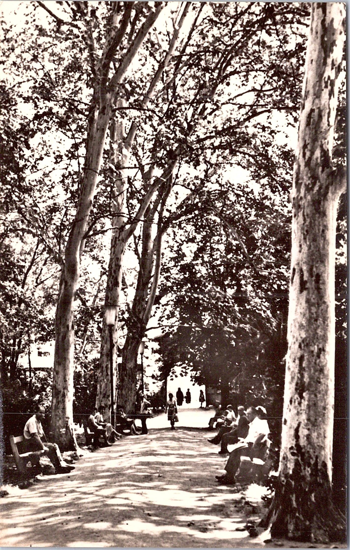 Buziaș - Vedere din parc