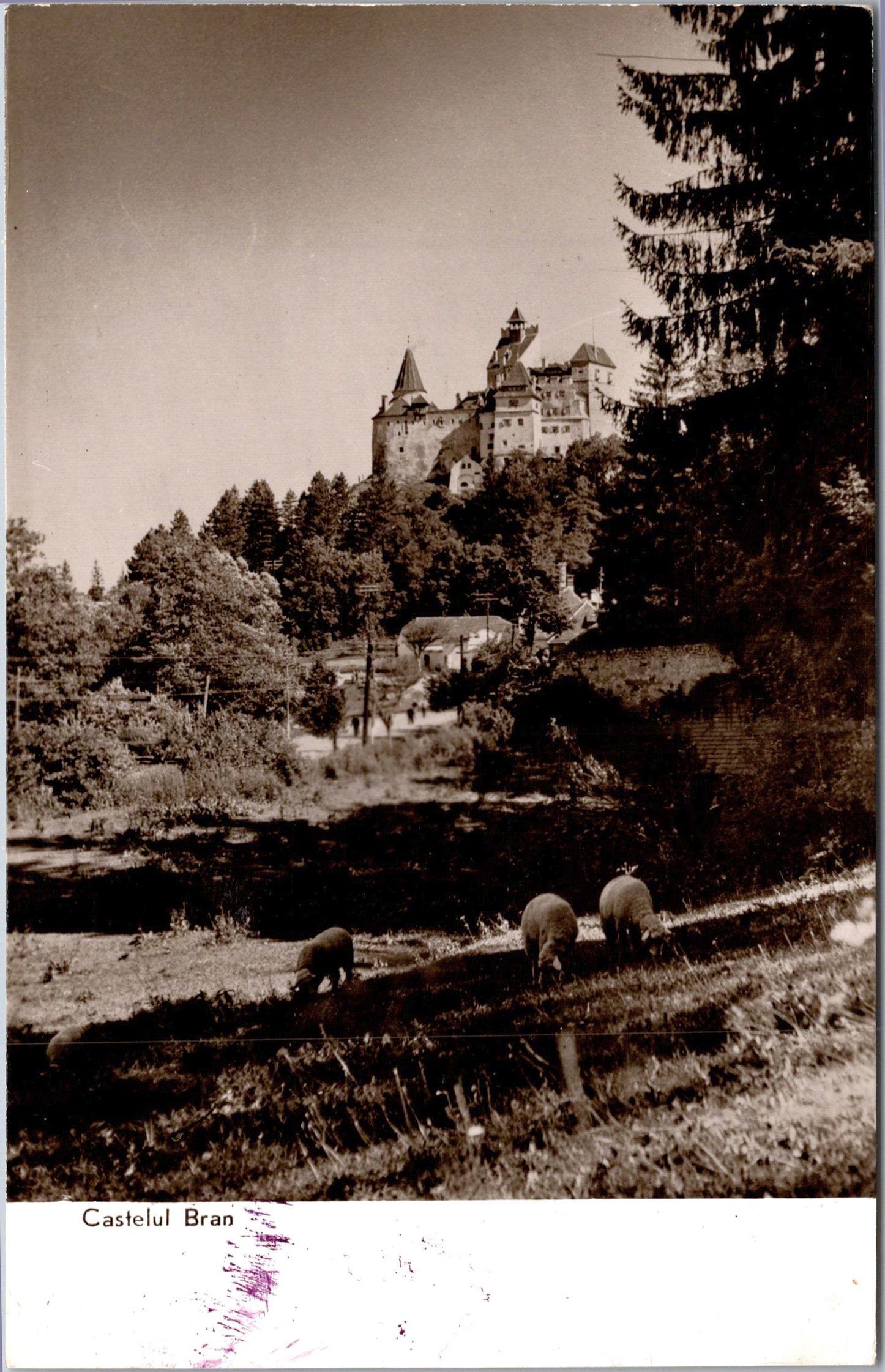 Castelul Bran