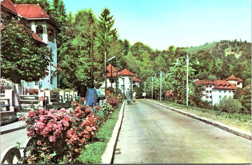 STOMFF_CP_11411_a_Olanesti081; STOMFF_CP_11411_r_Olanesti082 