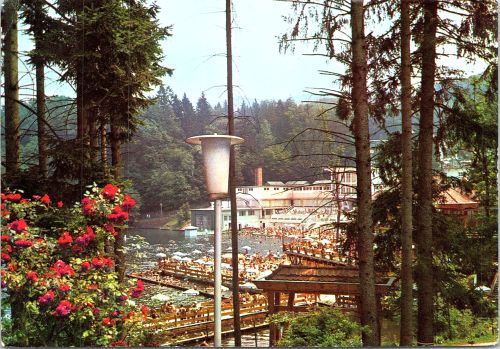 STOMFF_CP_12594_a_Sovata031; STOMFF_CP_12594_r_Sovata032 