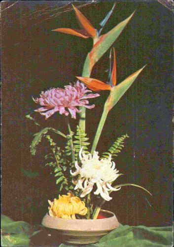 STOMFF_CP_31_0259_a_002256;STOMFF_CP_31_0260_r_002256 