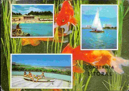 STOMFF_CP_42_0291_a_003070;STOMFF_CP_42_0292_r_003070 