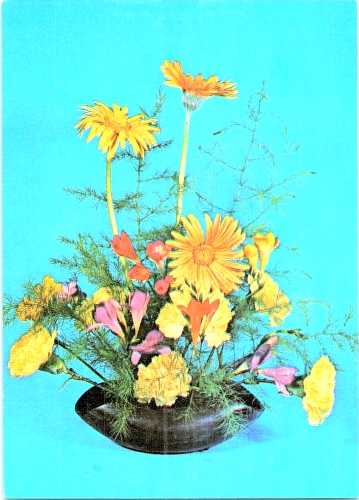 STOMFF_CP_13_a_6272_flora; STOMFF_CP_14_r_6272_flora