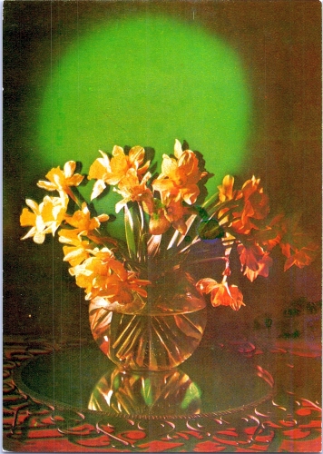 STOMFF_CP_29_a_6280_flora; STOMFF_CP_30_r_6280_flora