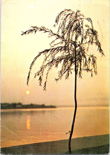 STOMFF_CP_091_a_7046_litoral_Mamaia; STOMFF_CP_092_r_7046_litoral_Mamaia 