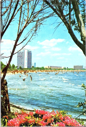 STOMFF_CP_175_a_7088_litoral_Mamaia; STOMFF_CP_176_r_7088_litoral_Mamaia 