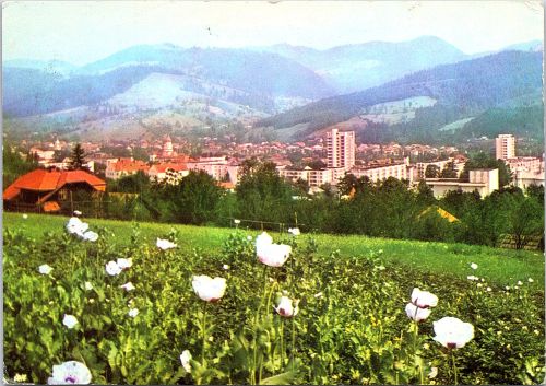 STOMFF_CP_007_a_Câmpulung_Muscel_7960; STOMFF_CP_008_r_Câmpulung_Muscel_7960 