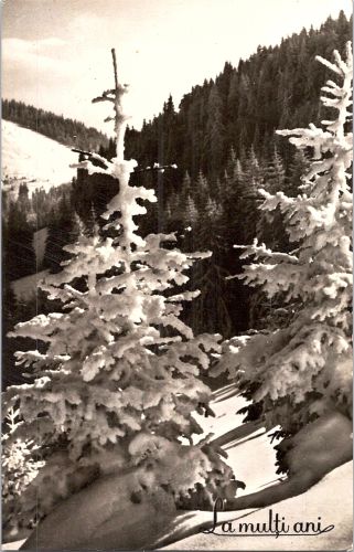 STOMFF_CP_8825_a_peisaj_montan; STOMFF_CP_8825_r_peisaj_montan 
