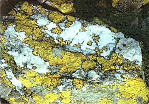 STOMFF_CP_8832_a_peisaj_montan; STOMFF_CP_8832_r_peisaj_montan 