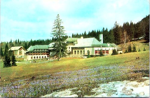STOMFF_CP_8884_a_Poiana_Brasov; STOMFF_CP_8884_r_Poiana_Brasov 
